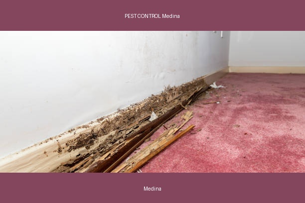 PEST CONTROL Medina